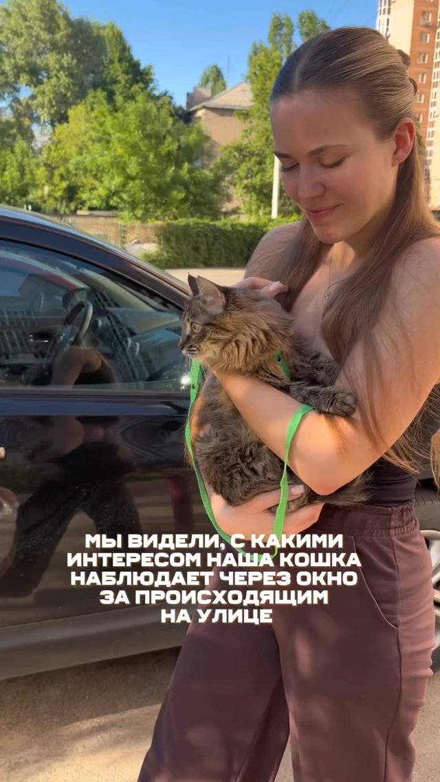 Анна держит кошку на шлейке